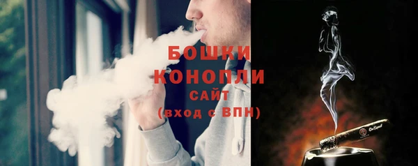 первитин Нея
