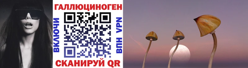 Псилоцибиновые грибы прущие грибы  KRAKEN ССЫЛКА  Уяр 